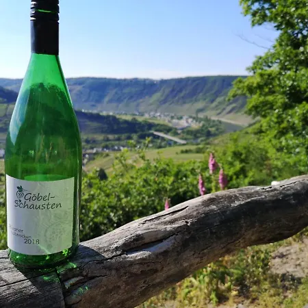 Weingut Gobel-schausten 公寓