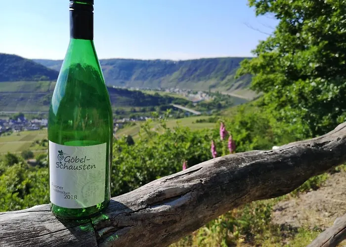 Weingut Gobel-schausten 公寓