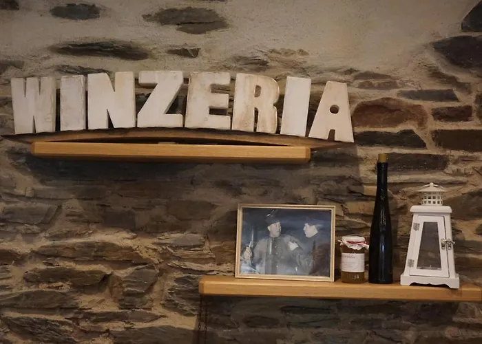 Weingut Gobel-schausten 公寓